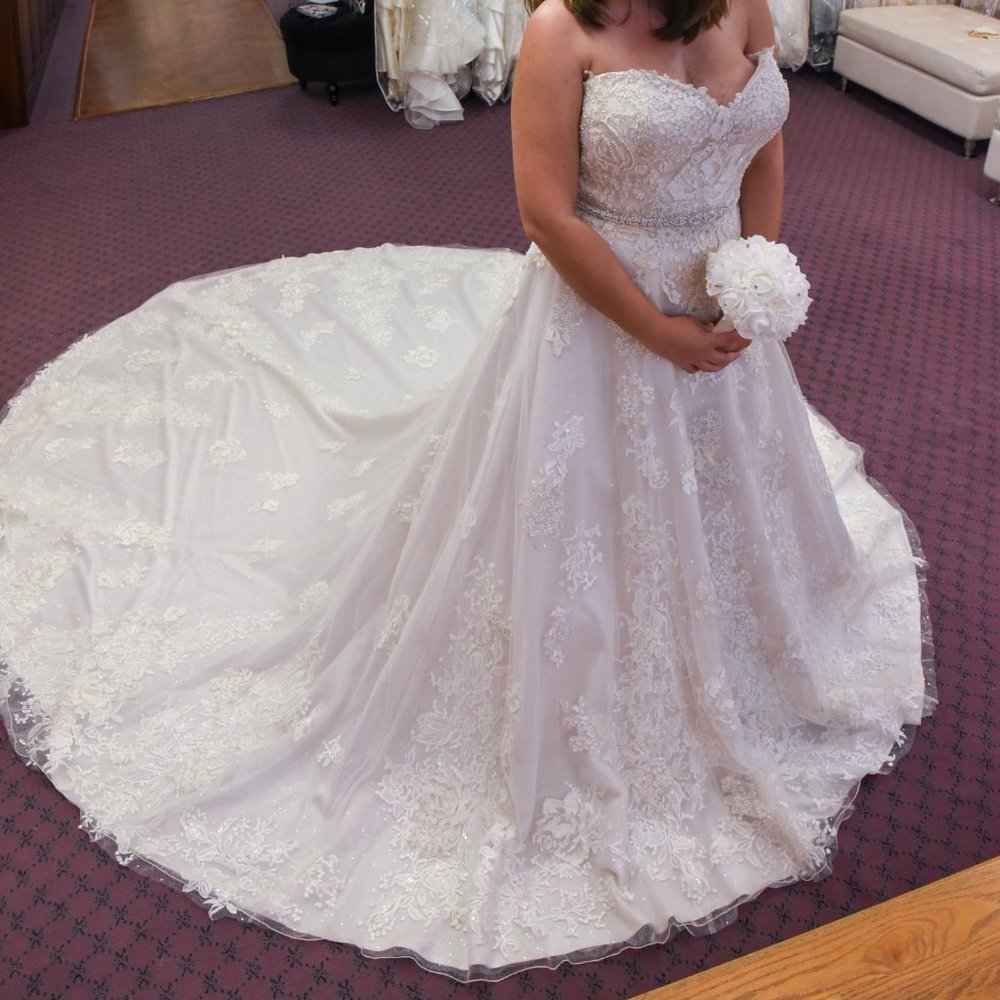 Justin Alexander Signature Collection Wedding Gown